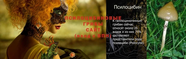 соль курить ск Инсар