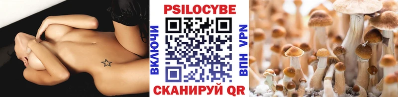Купить  Безенчук  Псилоцибиновые грибы Cubensis 